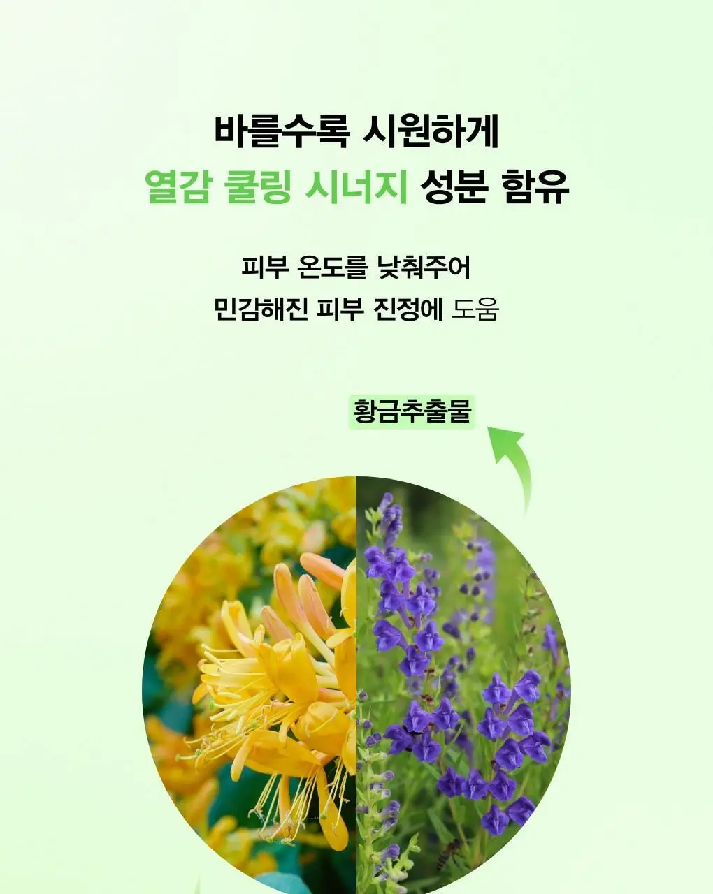 [수분진정] 아비브 어성초 카밍 토너 스킨부스터 더블 기획 (200ml+200ml) 상세페이지 10